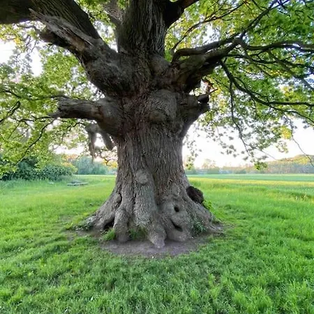 Smukke Omgivelser I Troense * Svendborg