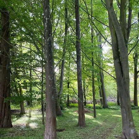 Smukke Omgivelser I Troense Lägenhet