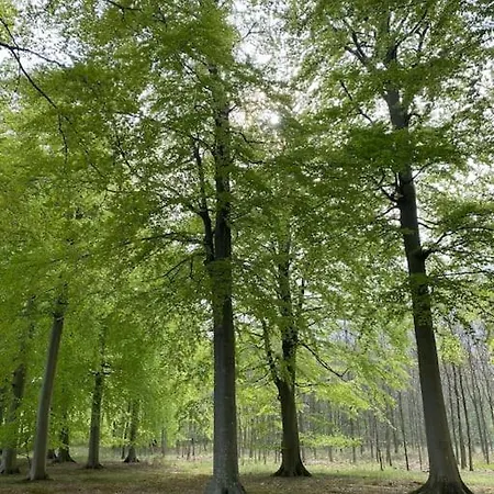 Lägenhet Smukke Omgivelser I Troense Svendborg