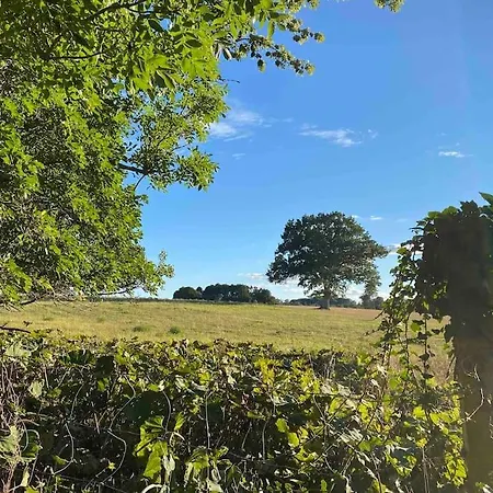 Smukke Omgivelser I Troense Svendborg