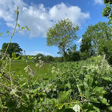 Smukke Omgivelser I Troense Svendborg