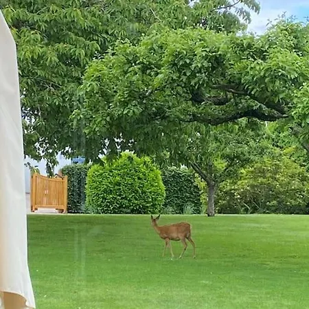 Smukke Omgivelser I Troense Lägenhet Svendborg