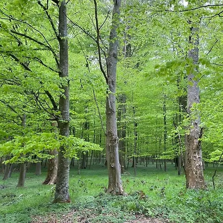 Lägenhet Smukke Omgivelser I Troense