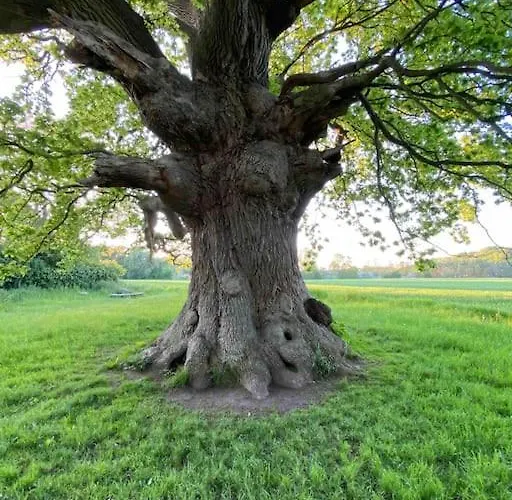 Smukke Omgivelser I Troense * Svendborg