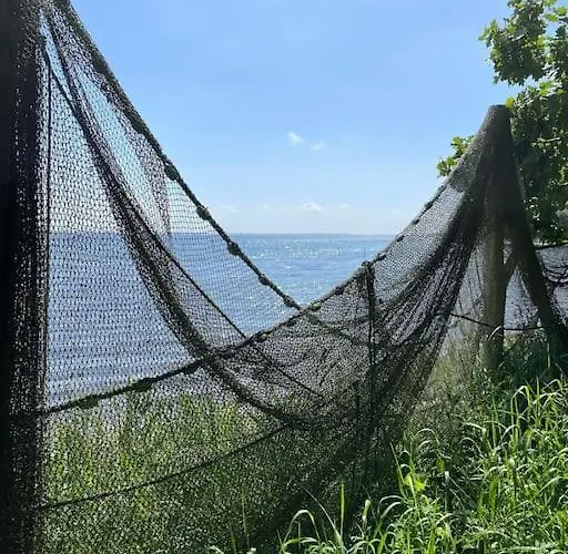 Smukke Omgivelser I Troense *