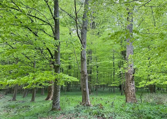 Lägenhet Smukke Omgivelser I Troense